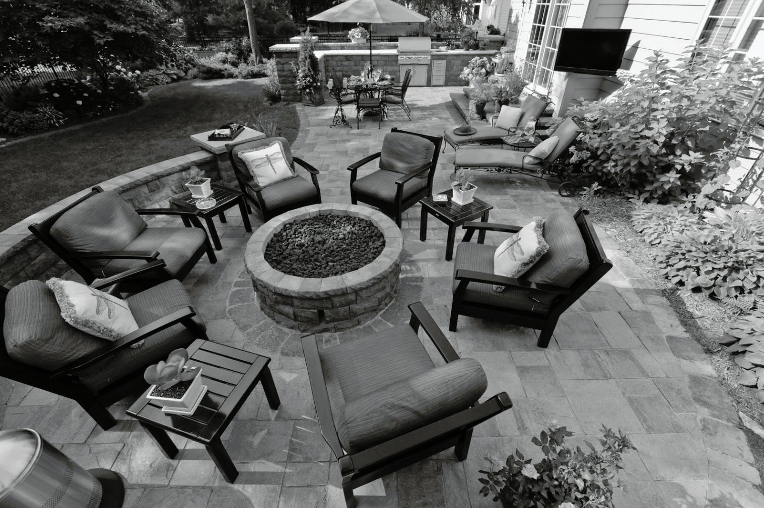 Backyard 2 white Backyard 2 white